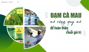 Đạm Cà Mau mở rộng quy mô để hoàn thiện chuỗi giá trị