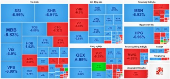 Cả trăm cổ phiếu nằm sàn, VN-Index có phiên giảm mạnh nhất lịch sử