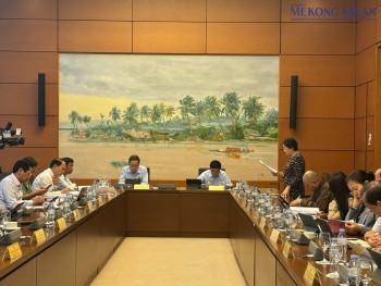 Chủ tịch Quốc hội nói về tình trạng 