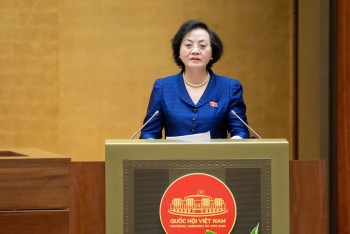 Bà Phạm Thị Thanh Trà và ông Hồ Quốc Dũng làm Phó Thủ tướng