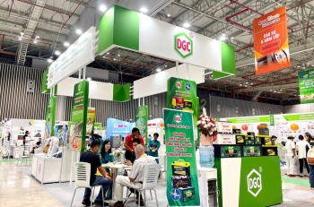 Chuyển động của Hoá chất Đức Giang trong năm 2025