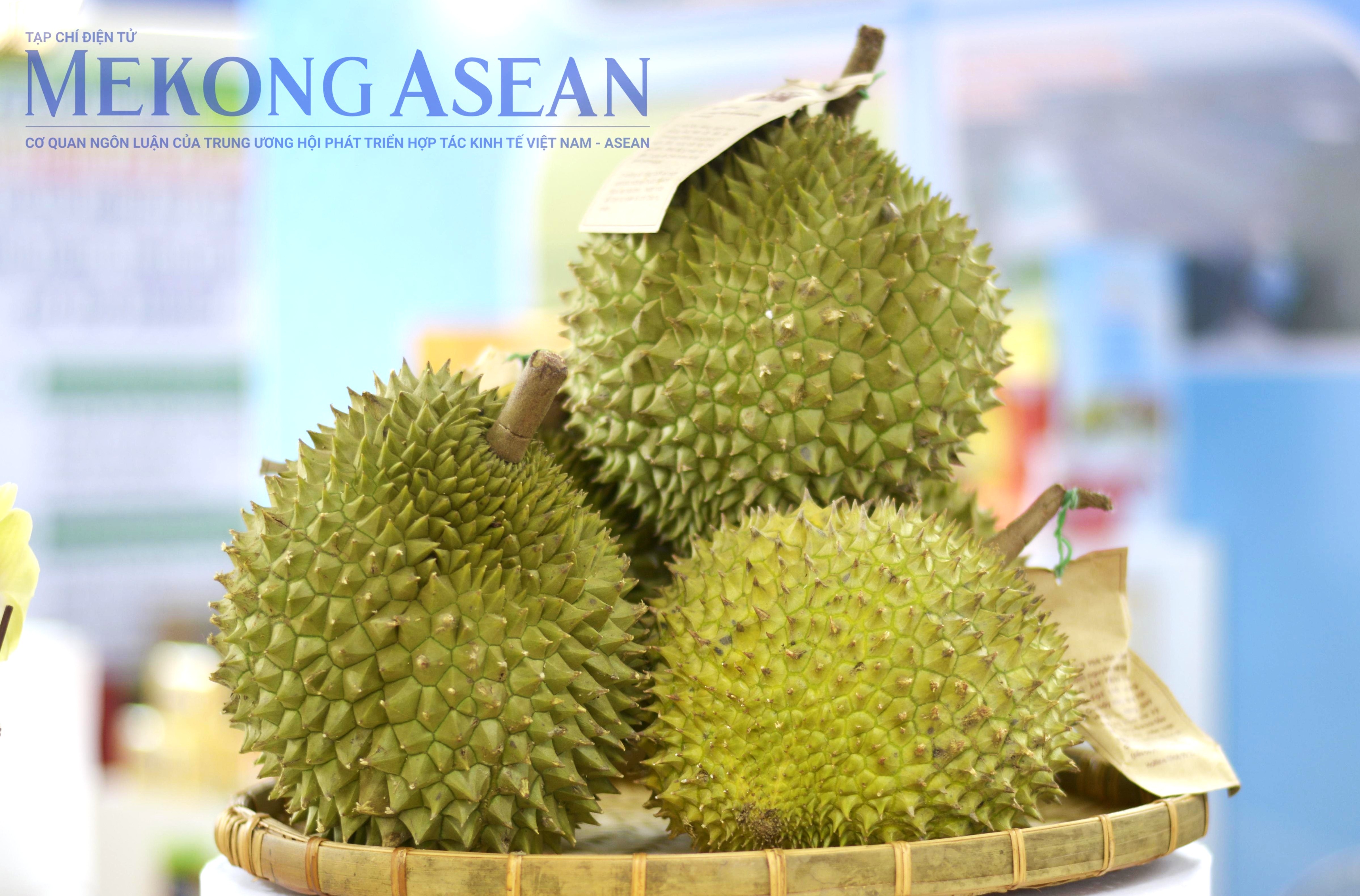 Hàng nghìn container sầu riêng ùn ứ tại Đăk Lăk. Ảnh: Lê Hồng Nhung - Mekong ASEAN