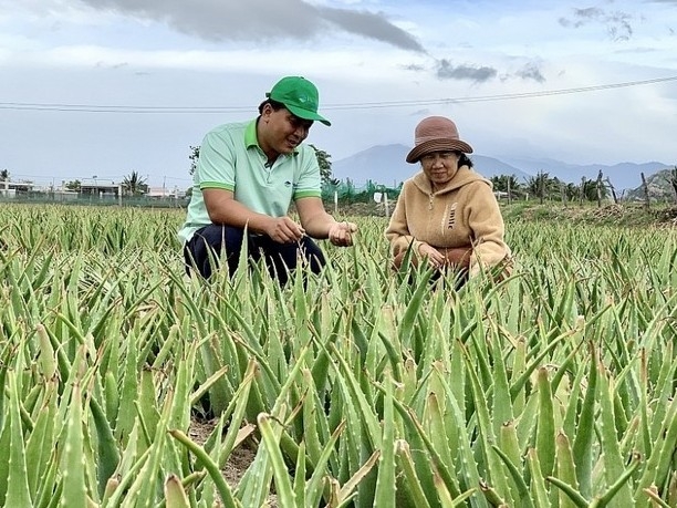 Khánh Hòa 'tăng tốc' cho mục tiêu xóa nghèo bao trùm và bền vững