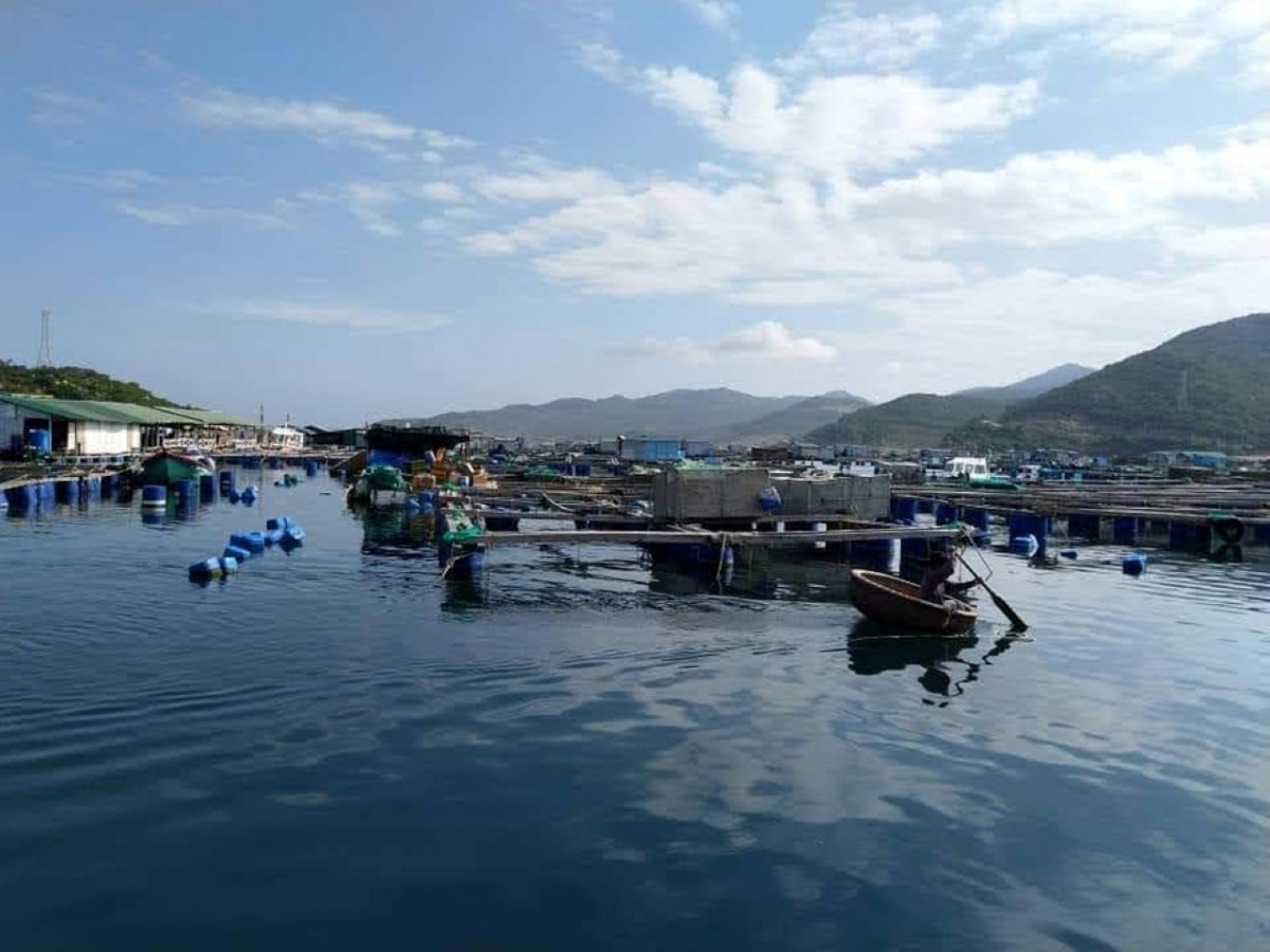 Khánh Hòa: Hướng tới hành trình xóa nghèo bao trùm và bền vững