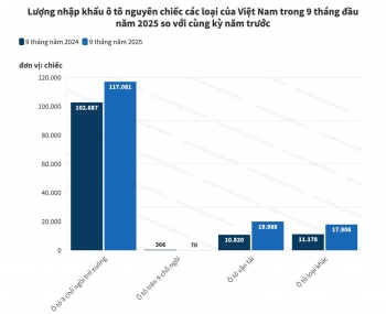 Việt Nam chi 3,42 tỷ USD nhập hơn 150 nghìn ô tô nguyên chiếc trong 9 tháng