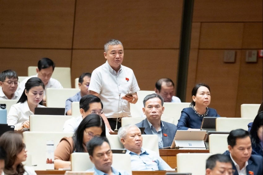 Lũ lụt nghiêm trọng, đại biểu Quốc hội lo lắng khi rừng tự nhiên vẫn bị thu hẹp