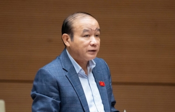 Đại biểu Quốc hội đề xuất có cơ chế kết nối để doanh nghiệp không 'bơi' một mình