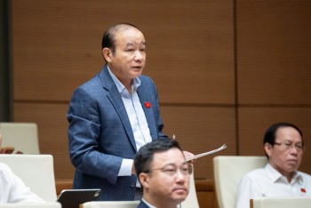 Đại biểu Quốc hội đề xuất có cơ chế kết nối để doanh nghiệp không 