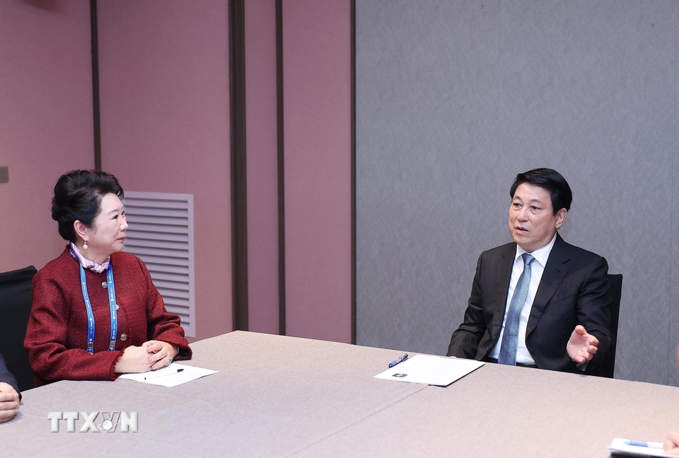 Chủ tịch nước Lương Cường tiếp Tiến sỹ Lý Lợi, Người sáng lập Tập đoàn MEBO. Ảnh: TTXVN.