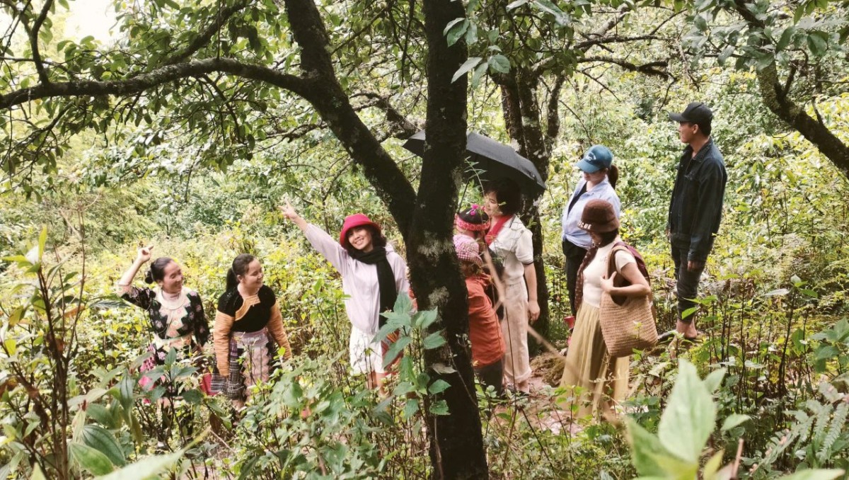 Sơn La: Giảm nghèo không chỉ bằng con số