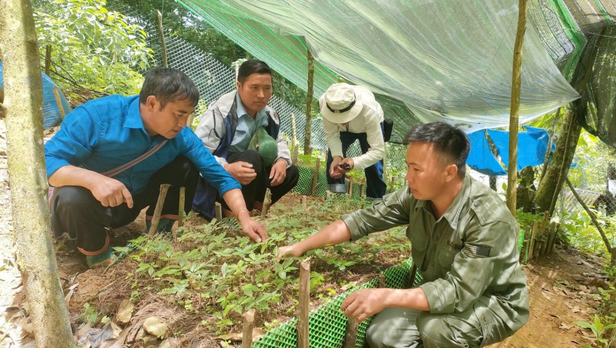 Sơn La: Giảm nghèo không chỉ bằng con số