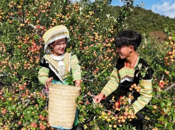 Giảm nghèo bền vững ở Sơn La: Khi chính sách đi cùng thực tiễn