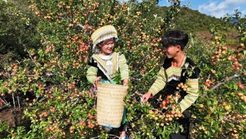 Giảm nghèo bền vững ở Sơn La: Khi chính sách đi cùng thực tiễn