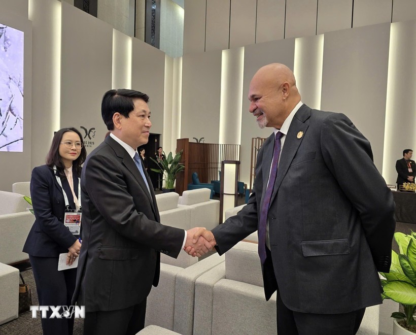 Chủ tịch nước Lương Cường gặp lãnh đạo một số thành viên APEC