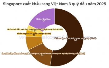 Xuất nhập khẩu Việt Nam - Singapore tăng hơn 25% trong 9 tháng 2025