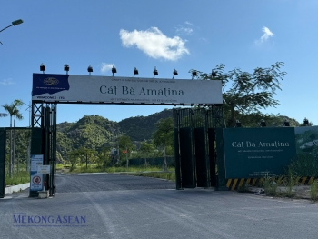 Lãi lớn sau khi thoái vốn Cát Bà Amatina, Vinaconex cho vay hơn 6.000 tỷ đồng