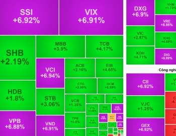 Bùng nổ trong phiên chiều, VN-Index tăng mạnh nhất trong một tháng