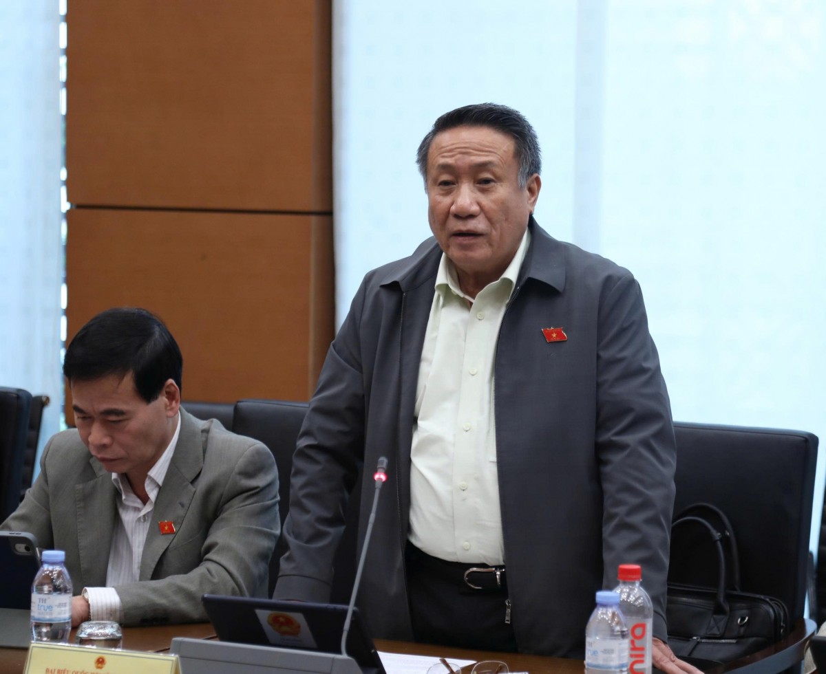 Đại biểu Quốc hội: 'Cần có cơ chế giám sát chéo trong tổ chức thực hiện luật'