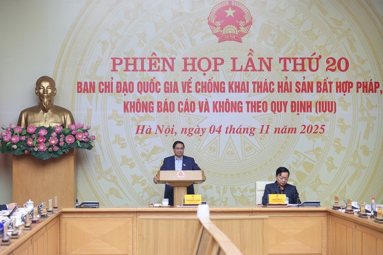 Chống khai thác IUU: Khẩn trương hoàn thành số hóa quản lý tàu cá