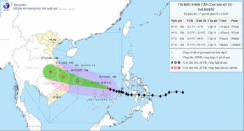 Bão số 13 cách Quy Nhơn khoảng 880 km, rạng sáng 7/11 vào đất liền