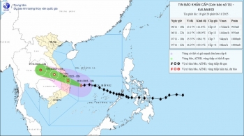 Bão số 13 mạnh lên cấp 15, di chuyển nhanh về bờ biển Quy Nhơn