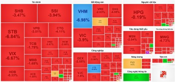 Nhà đầu tư ào ạt 