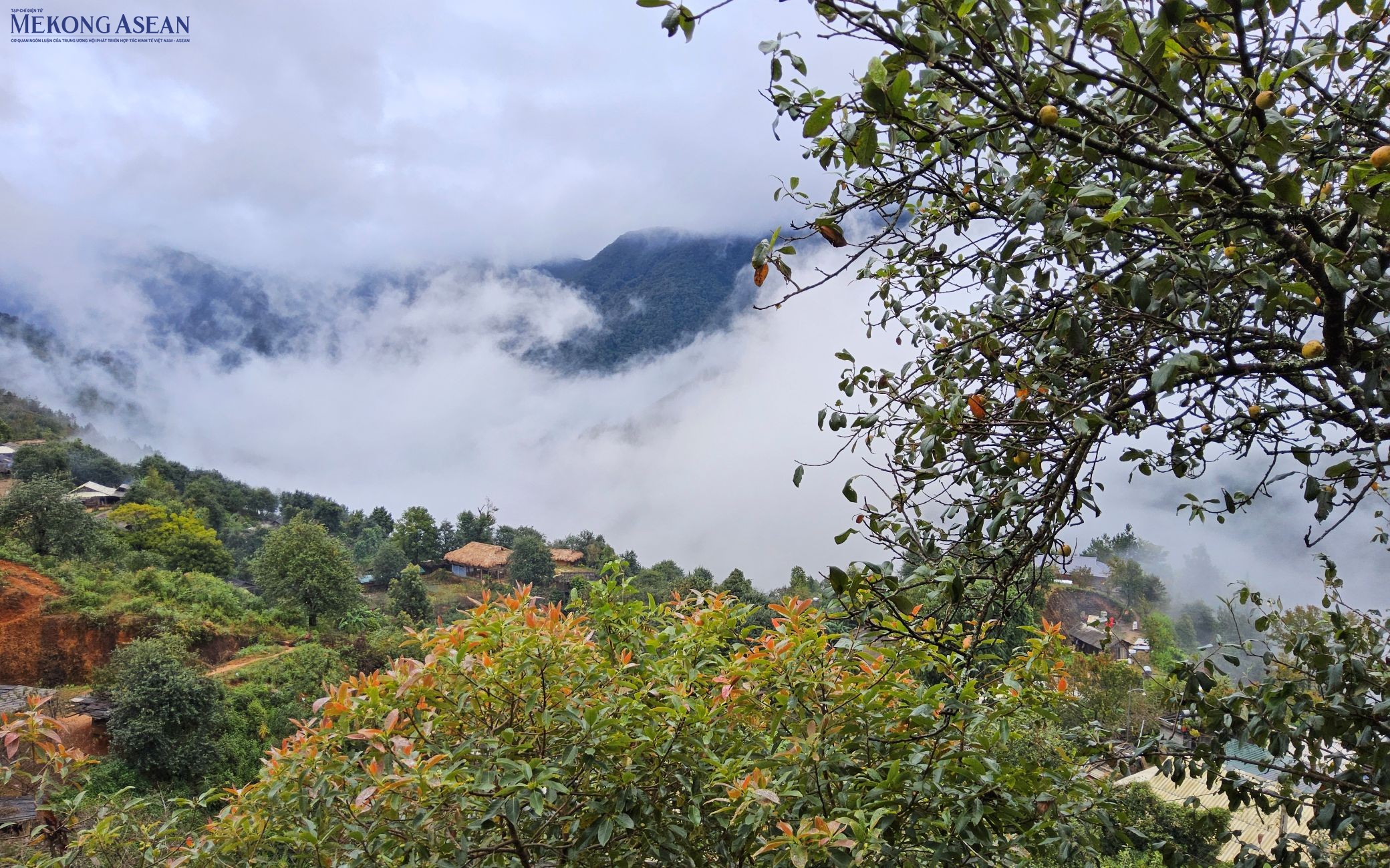 Nậm Nghiệp – Khi người Mông làm chủ kinh tế bản địa