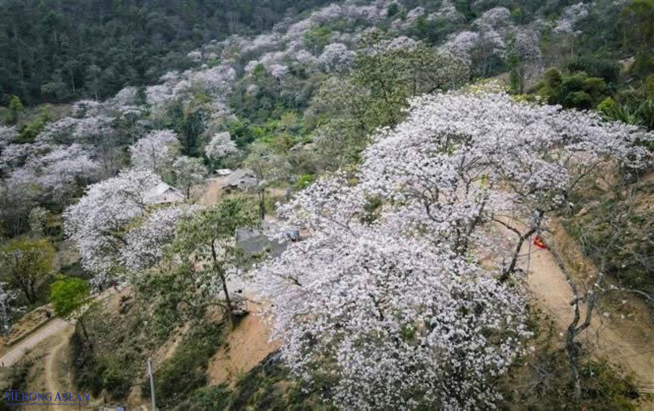 Nậm Nghiệp – Khi người Mông làm chủ kinh tế bản địa