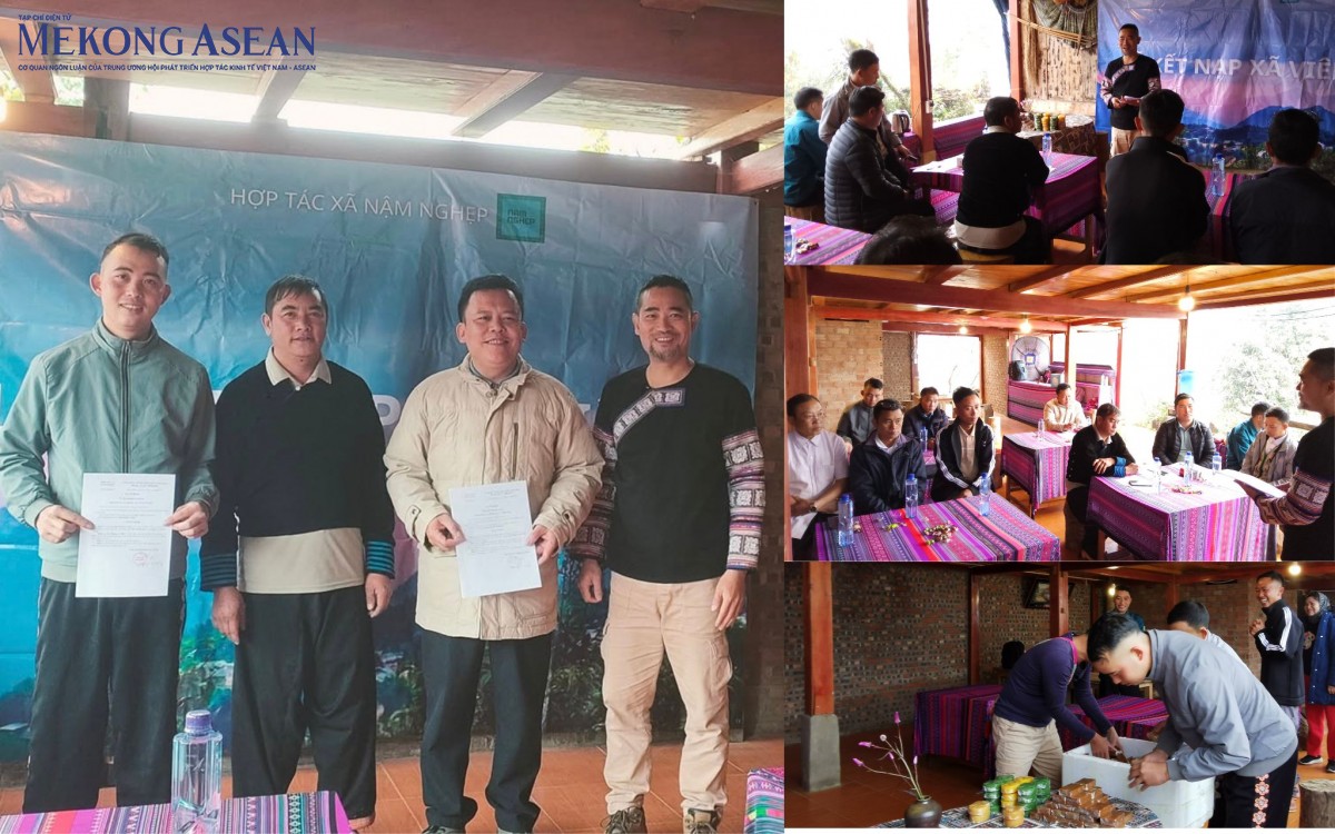 Nậm Nghiệp – Khi người Mông làm chủ kinh tế bản địa