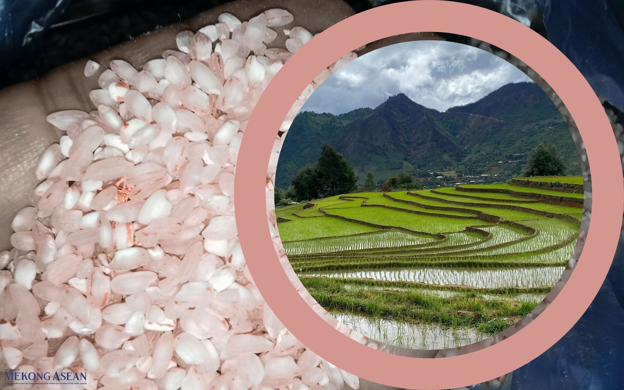 Nậm Nghiệp – Khi người Mông làm chủ kinh tế bản địa