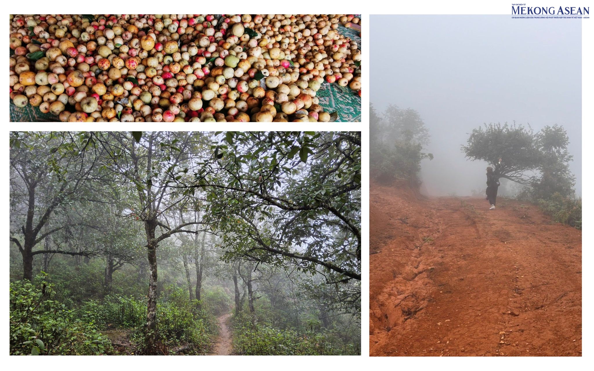 Nậm Nghiệp – Khi người Mông làm chủ kinh tế bản địa