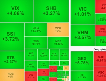 VN-Index ngắt chuỗi giảm, trở lại mốc 1.590 điểm nhờ sự thăng hoa của VN30
