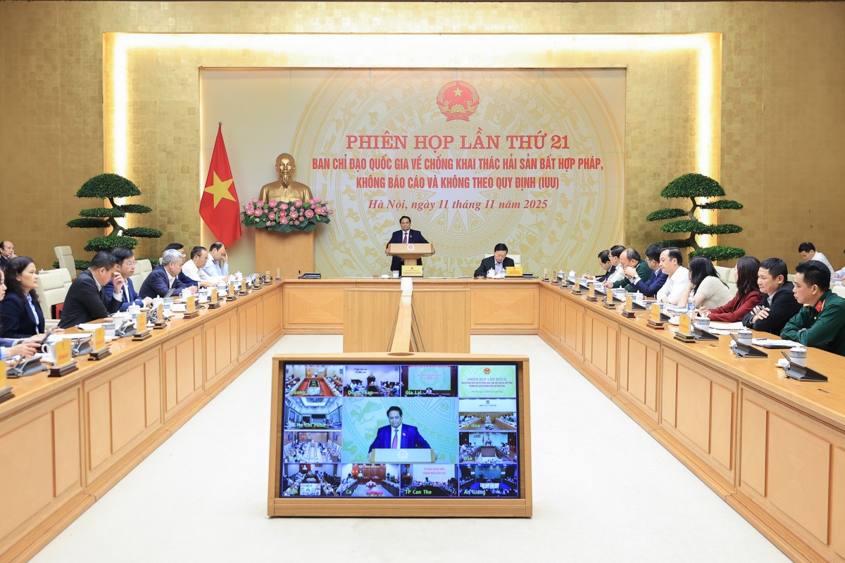 Thủ tướng: Xử lý dứt điểm tàu cá '3 không', kiên quyết không để hoạt động