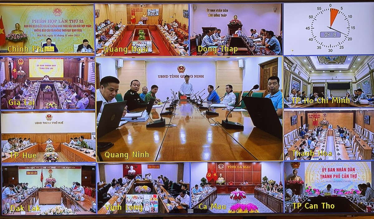 Thủ tướng: Xử lý dứt điểm tàu cá '3 không', kiên quyết không để hoạt động