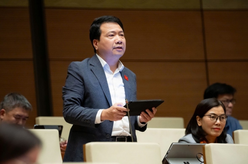 Đại biểu Quốc hội: 