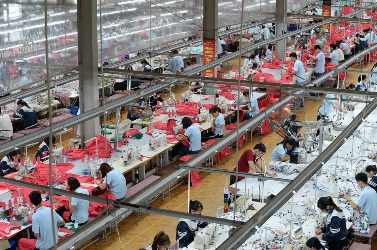 May Sông Hồng chia cổ tức bằng tiền tỷ lệ 40%, gia đình chủ tịch nhận về 193 tỷ đồng