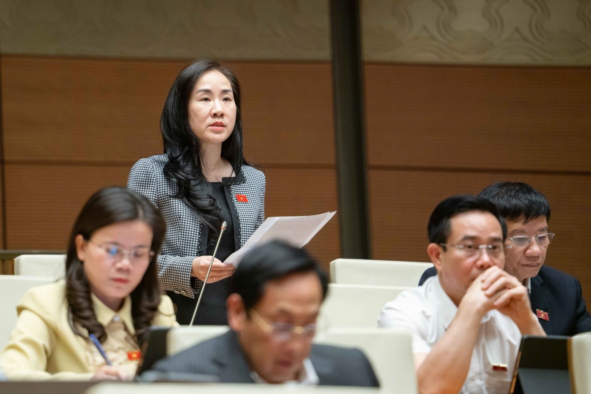 Luật nên có chính sách ưu tiên, khuyến khích phát triển các sàn nội địa