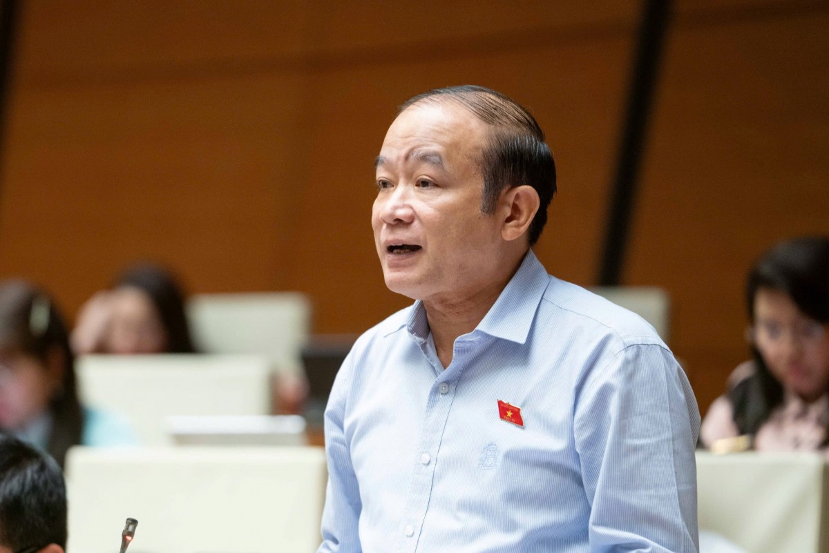 Luật nên có chính sách ưu tiên, khuyến khích phát triển các sàn nội địa