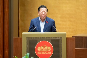 Chi tiết phương án đầu tư 