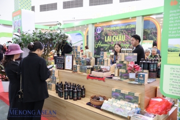 Đưa dược liệu lên sàn thương mại số: Lối mở giảm nghèo bền vững tại Lai Châu