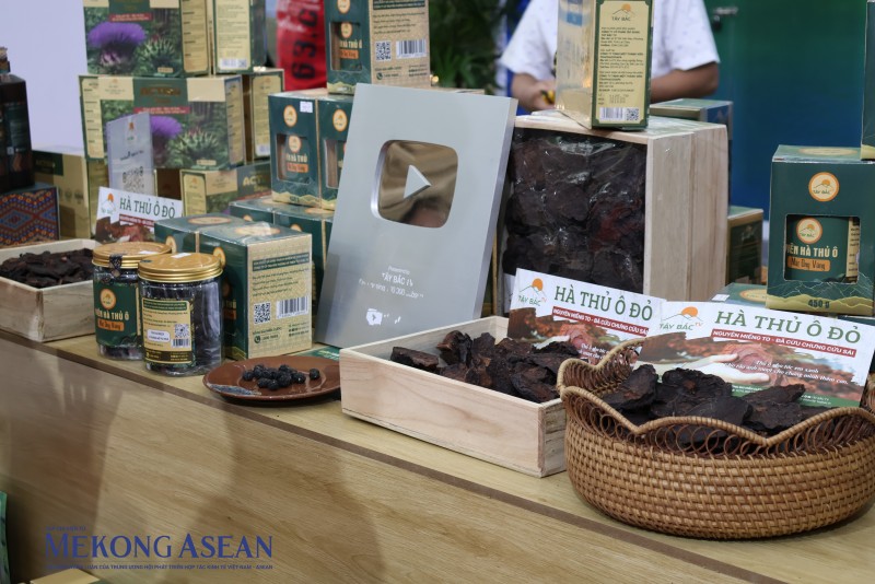 Đưa dược liệu lên sàn thương mại số: Lối mở giảm nghèo bền vững tại Lai Châu