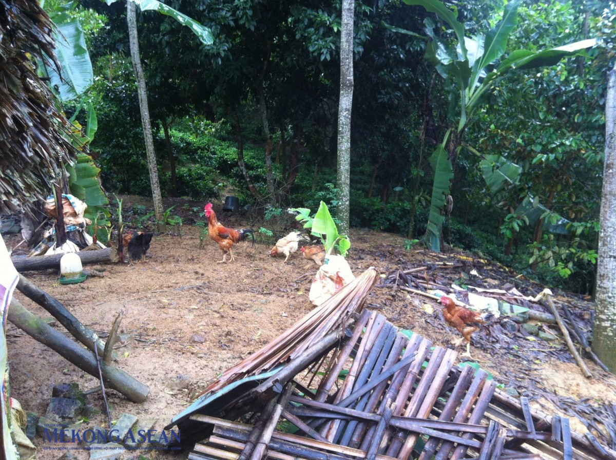 Phú Thọ: Hơn 57.500 hộ nghèo được hưởng lợi từ tín dụng chính sách