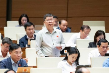 Đại biểu Quốc hội: 