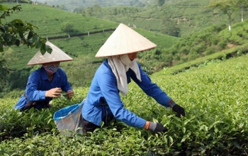 Phú Thọ: Hơn 57.500 hộ nghèo được hưởng lợi từ tín dụng chính sách