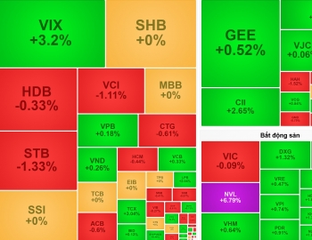 VN-Index rung lắc trong biên hẹp, NVL và HAG trở thành tâm điểm