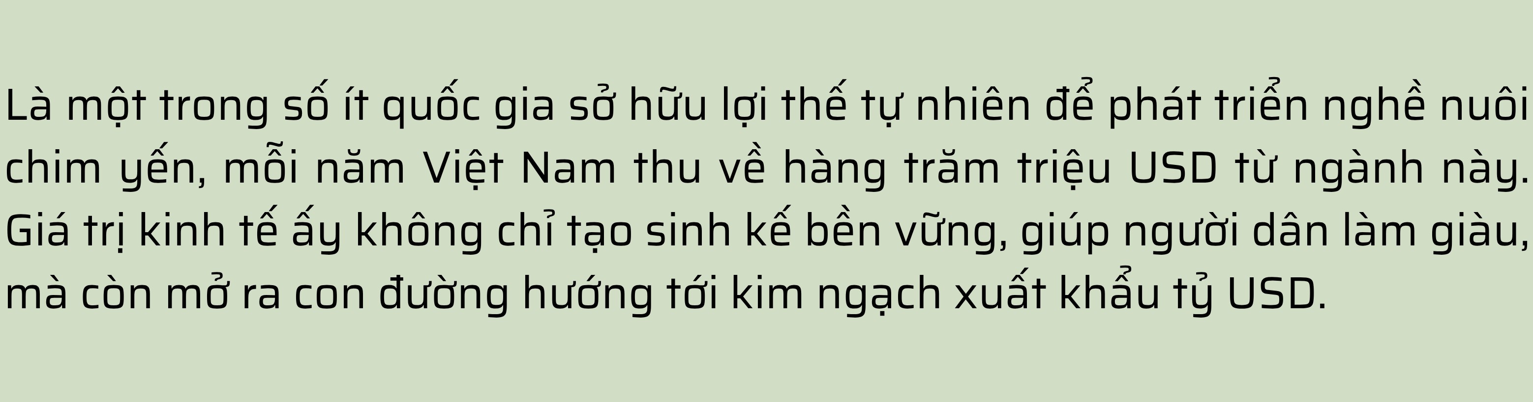 Từ sinh kế đến “giấc mơ” tỷ USD xuất khẩu ngành yến