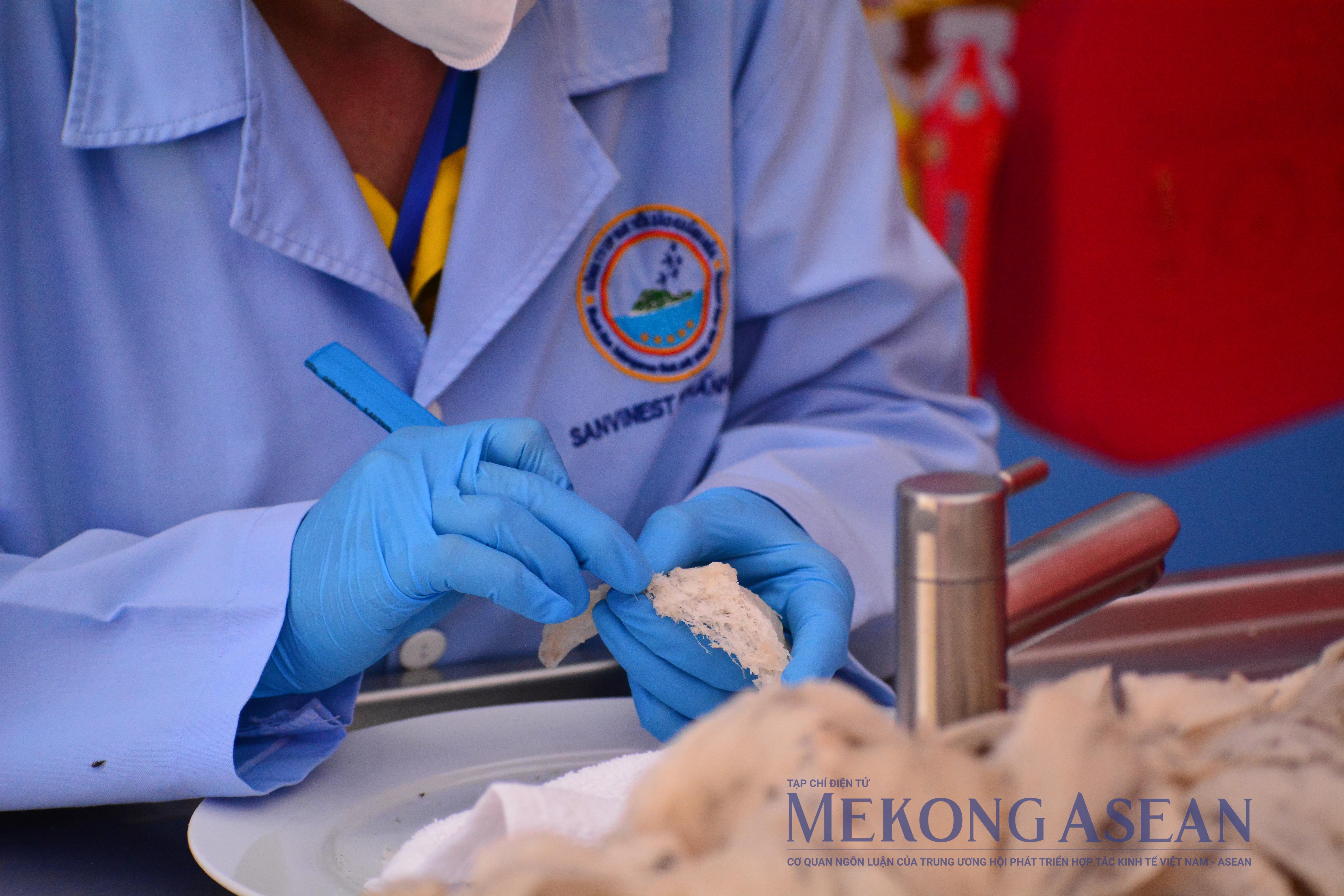 Từ sinh kế đến “giấc mơ” tỷ USD xuất khẩu ngành yến