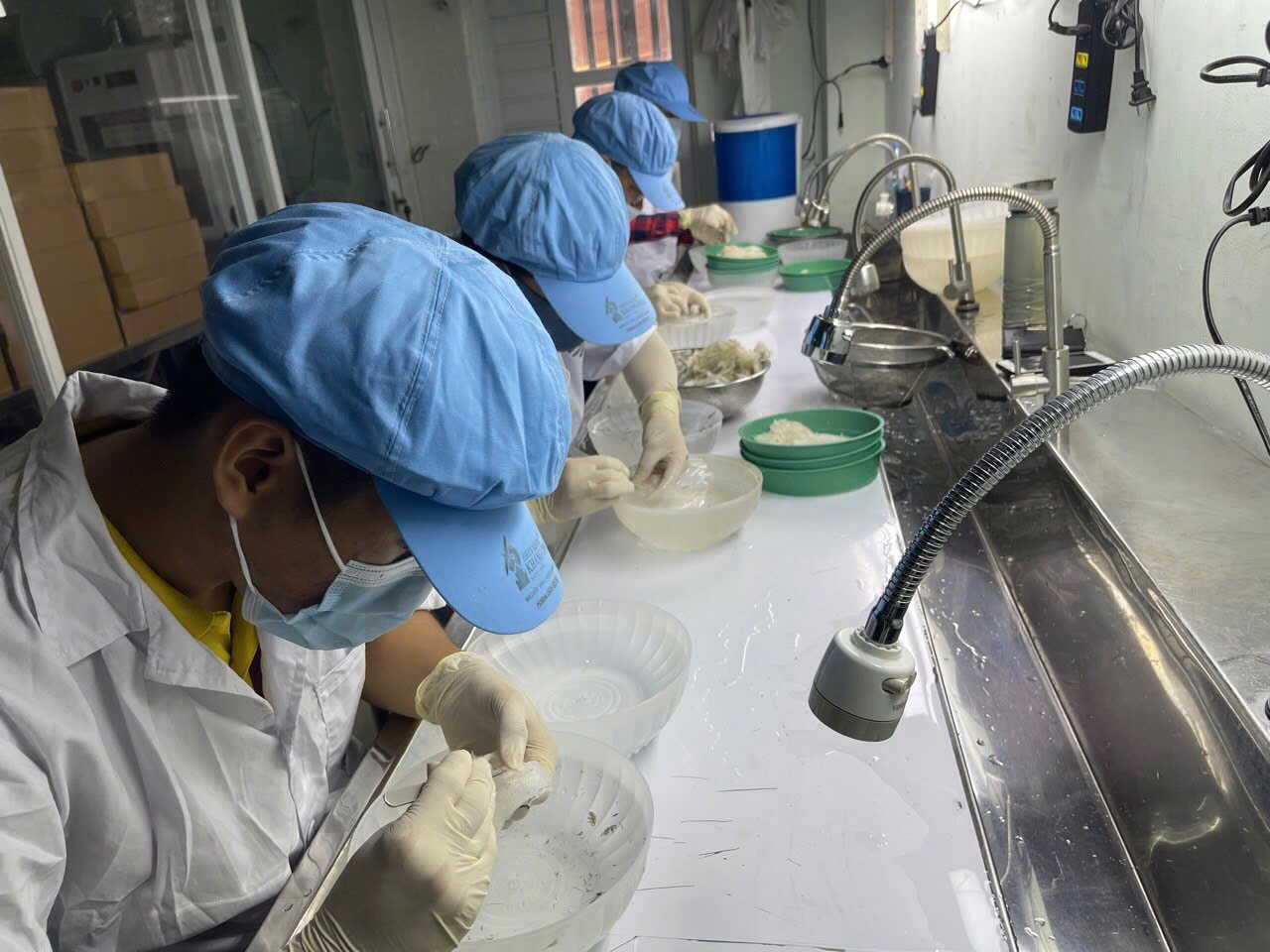 Từ sinh kế đến “giấc mơ” tỷ USD xuất khẩu ngành yến