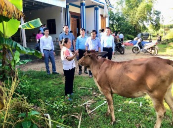 Nghệ An: Người dân ngày càng chủ động vươn lên thoát nghèo