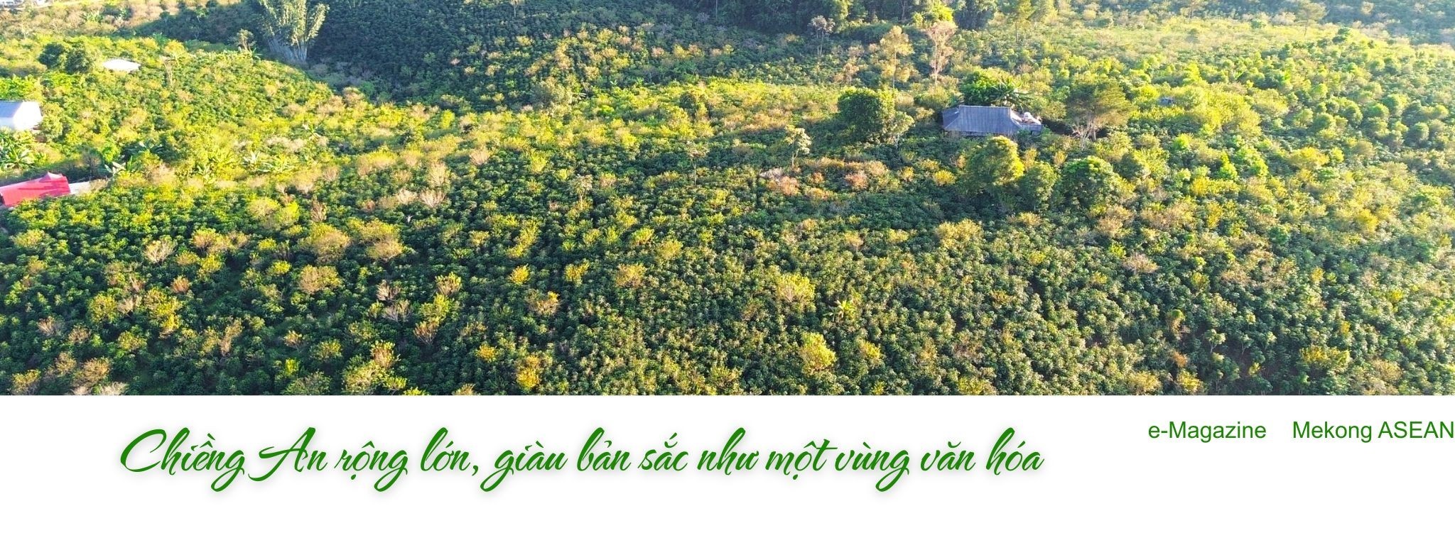 Chiềng An: Từ thoát nghèo bền vững đến làm giàu trên những đồi cà phê Arabica chín đỏ